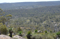John Forrest National Park